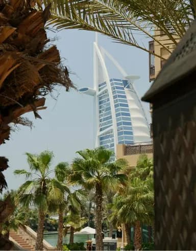 Palm shadows on wall Palm shadows on wall